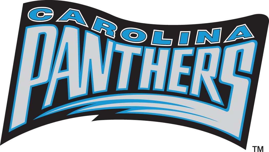 Carolina Panthers 1995 Wordmark Logo t shirt iron on transfers